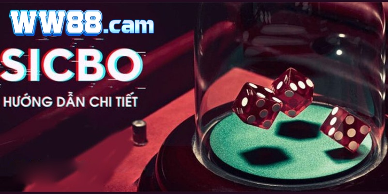 hướng dẫn Sicbo WW88
