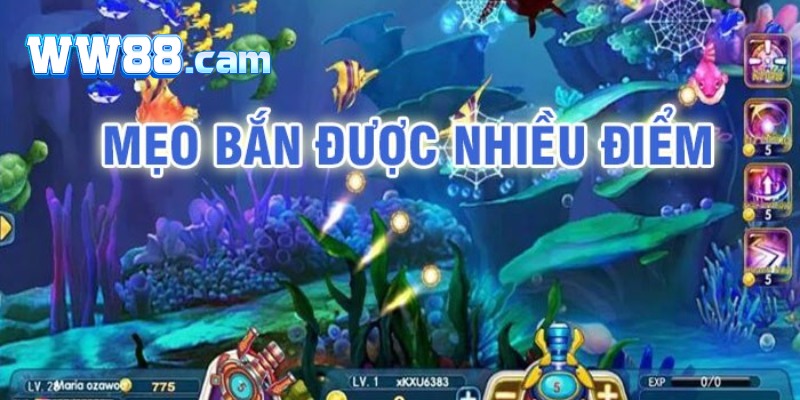 Mẹo chơi bắn cá WW88